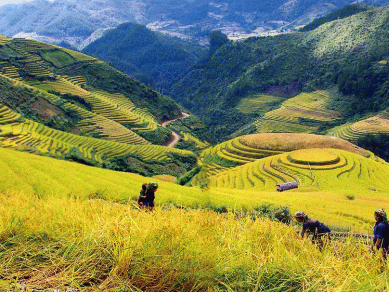 Tour Du Lịch: Hạ Long | Ninh Bình | Hà Nội | Sapa
